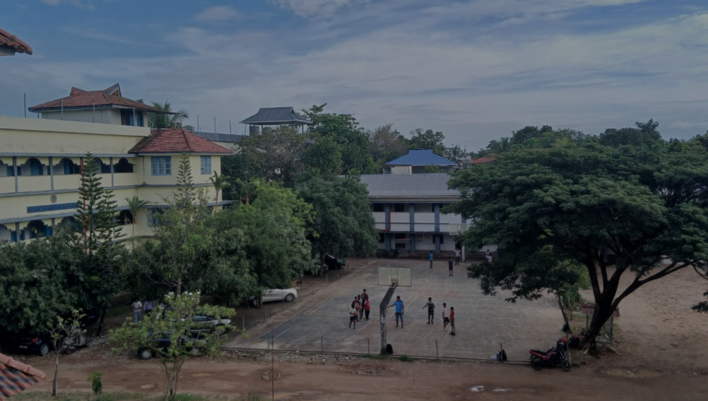 School Background